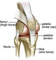 Patellar-tendinitis