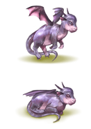Drache 1