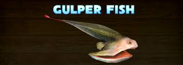 hungry shark evolution map gulpers hungry shark evolution map gulpers