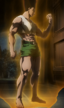 Adult Gon Anime