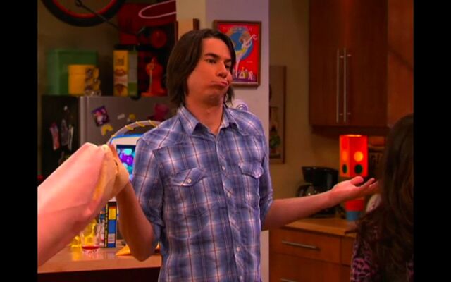 File:Shamwow.jpeg