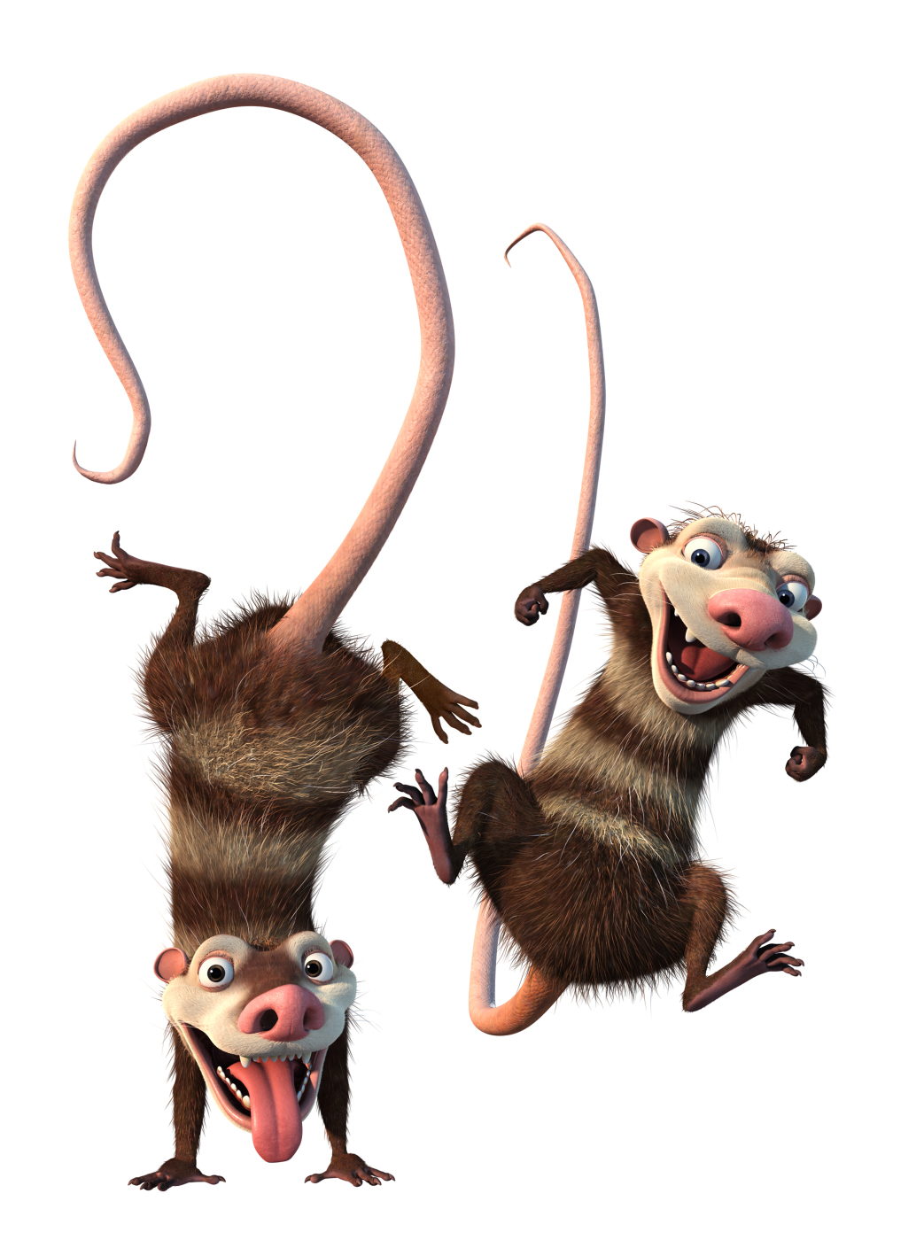 Opossum Dans L Age De Glace Image - Crash and Eddie (Ice Age 2).jpg | Ice Age Wiki | FANDOM powered