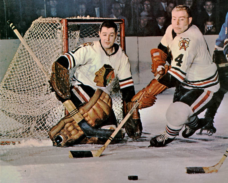 Glenn Hall | Ice Hockey Wiki | Fandom powered by Wikia