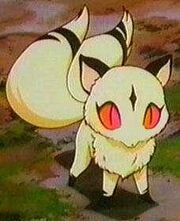 Kirara1jg0.jpg