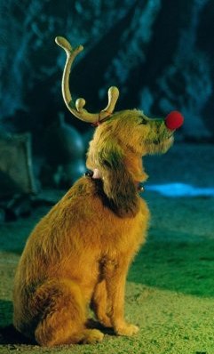 Max (Grinch) - Jaden's Adventures Wiki - Wikia
