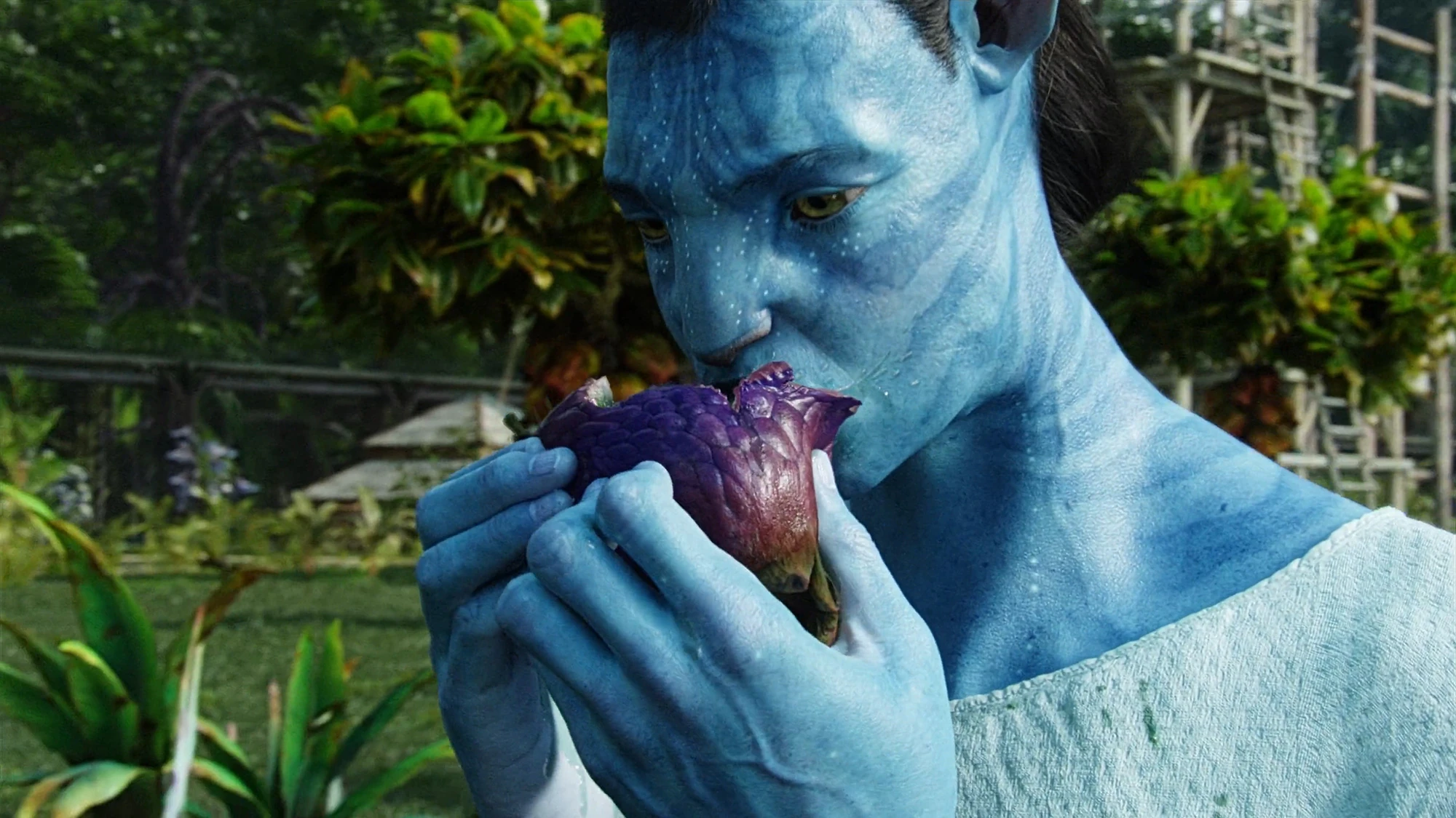 Image Jake eats fruit.jpg Avatar Wiki Fandom powered by Wikia