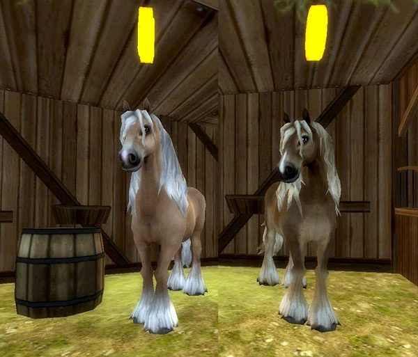 North Swedish Horse Jorvikipedia FANDOM powered by Wikia