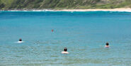 Swimming-in-the-ocean