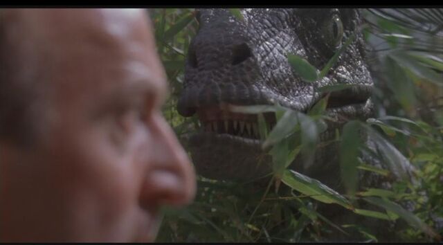 File:DVDPlay 2009-05-06 16-54-20-72.jpg