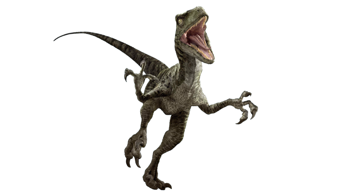 Image Jurassic World Velociraptor V3 By Sonichedgehog2 Da77482png Jurassic Park Wiki 
