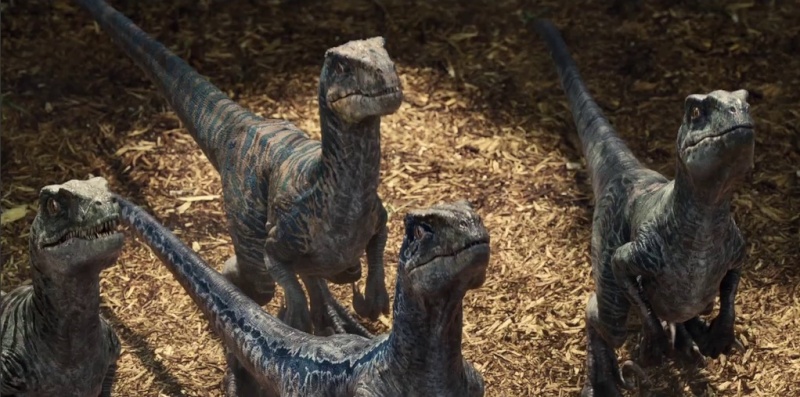 the lost world raptors