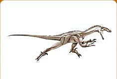 pyroraptor jurassic world alive
