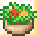 Green Salad (High Sea Saga)