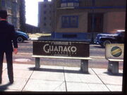 Guanaco