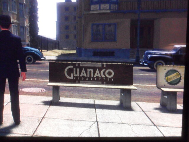 File:Guanaco.jpg
