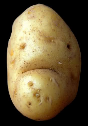 Kép