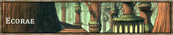Location banner Ecorae