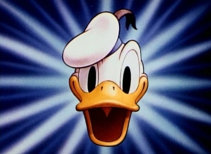 Donald Duck | Logopedia | FANDOM powered by Wikia