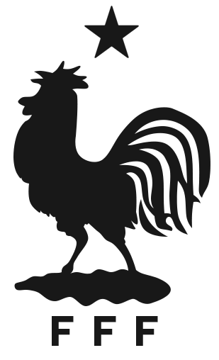 Image France National Football Team Logo EURO 2016 Monochrome png image-france-national-football-team-logo-euro-2016-monochrome-png