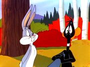Rabbit Fire.jpg
