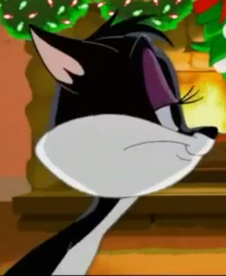 How It Feels To Have A Cat Christmas How It Feels To Have A Cat Christmas