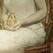 Hamster