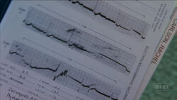 3x16 chart rachel carlson