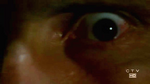 Auge.png