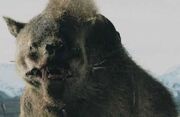 Warg.jpg