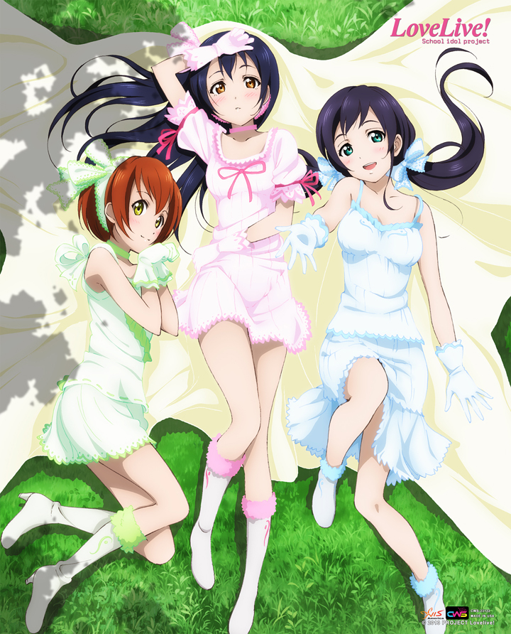 The Beginner S Guide To The Music Of Love Live Lovelive