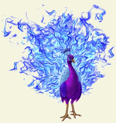 phoenix peacock