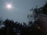 892-Sonne.jpg