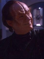 Spiegel-phlox.jpg