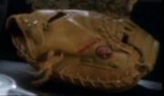 Rawlings baseball glove