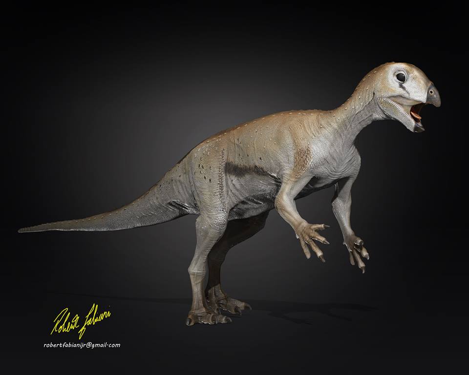 mesozoica spinosaurus mesozoica spinosaurus