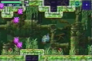 Beta Fusion 12