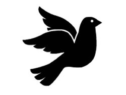 Birdgrg