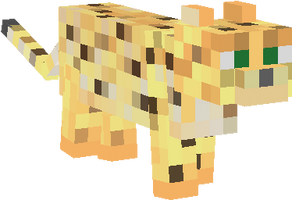 8bkeI