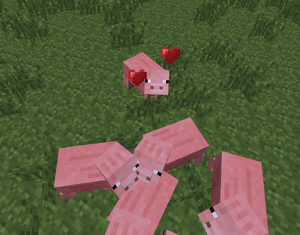 Pigbreeding