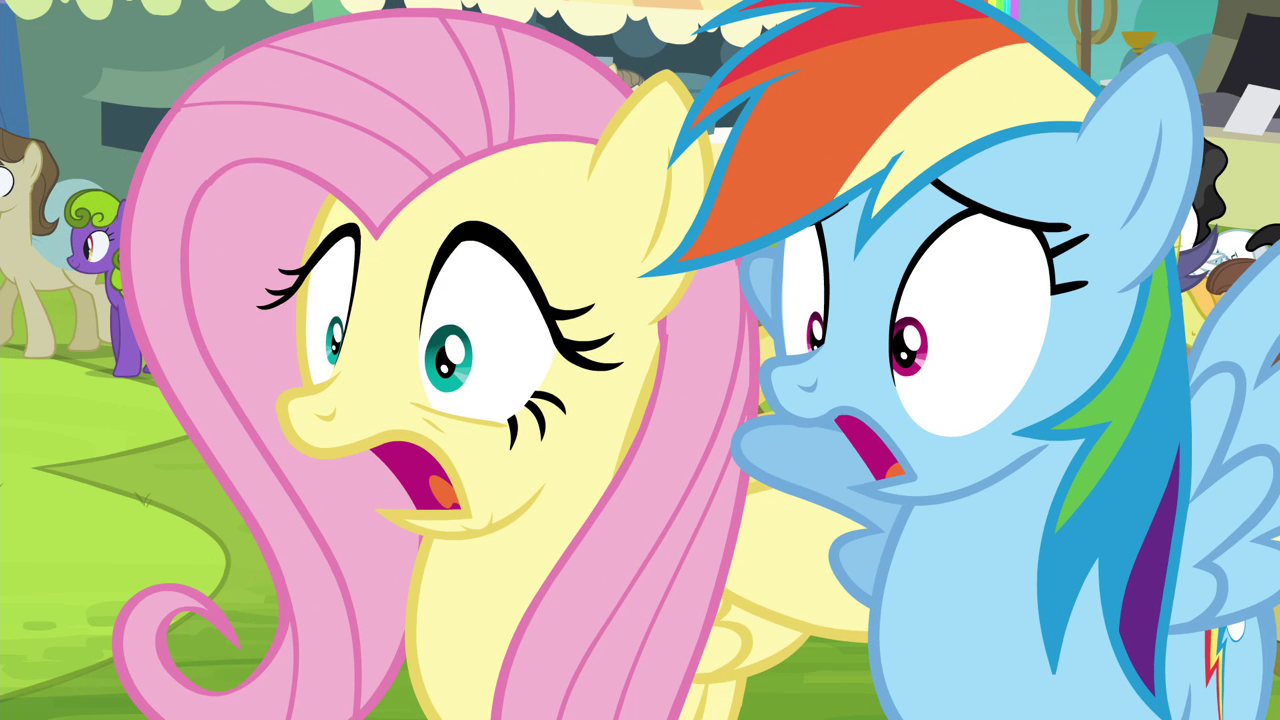 Image Fluttershy and Rainbow Dash gasp S4E22.png My Little Pony Friendship is Magic Wiki