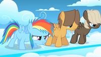 S01E23 RainbowDash ReadyToRace.png