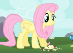 Fluttershy ID