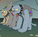 Diamond dogs trio