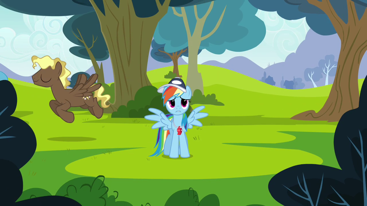 Rainbow_Dash_%22if_only_there_was_a_way%22_S2E22.png