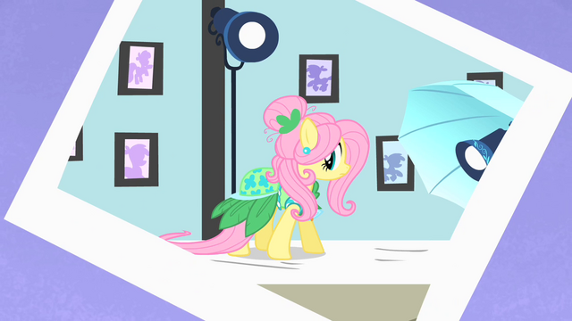 File:Fluttershy photoshoot 2 S1E20.png