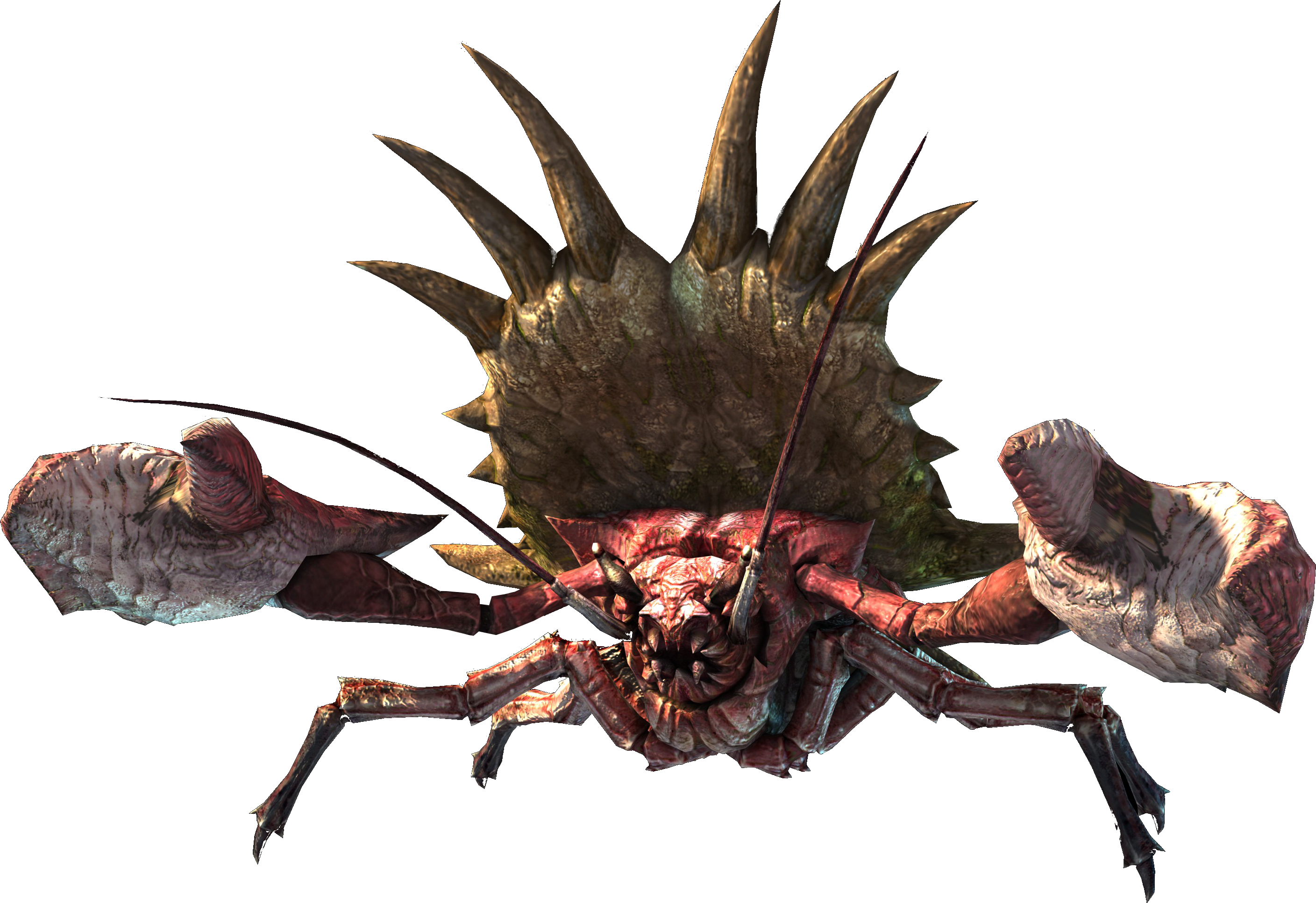 Monster Hunter Generations Daimyo Hermitaur