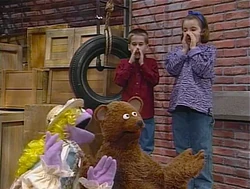 Episode 3654 | Muppet Wiki | Fandom powered by Wikia