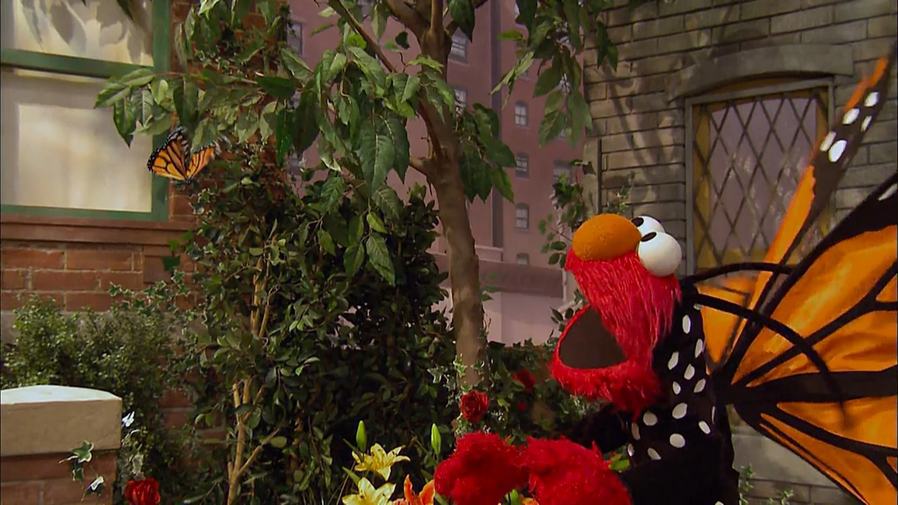 Little Butterfly Friend Muppet Wiki Fandom powered by Wikia