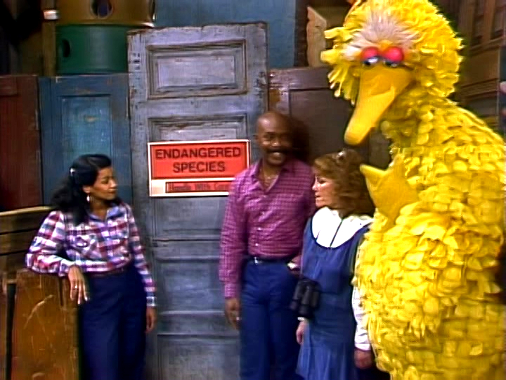 heatwave sesame street episodes 1575 and 2376