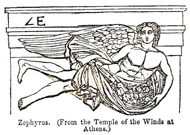 File:Zephyrus drawing.jpg